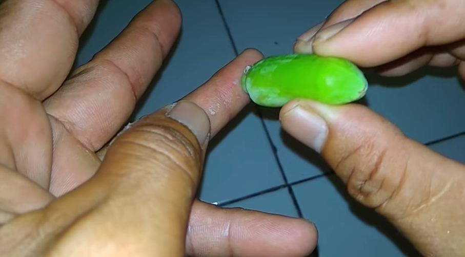 Tanpa jarum atau larutan garam, ini trik ampuh mengeluarkan duri di tangan cuma pakai 1 jenis buah