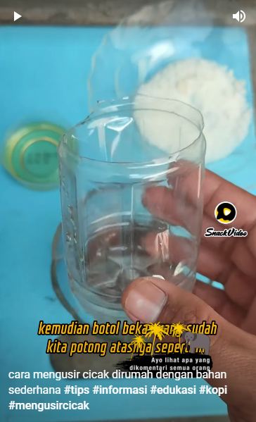 Bukan pakai lada, begini cara bikin perangkap cicak yang alami dan ampuh pakai 3 bahan dapur