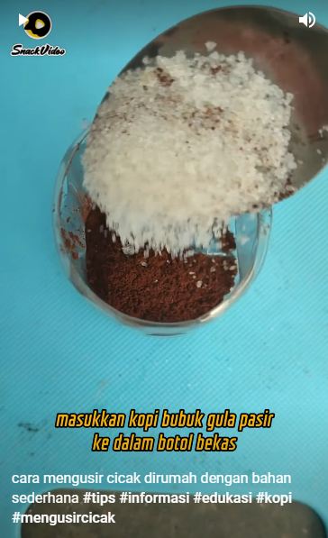 Bukan pakai lada, begini cara bikin perangkap cicak yang alami dan ampuh pakai 3 bahan dapur