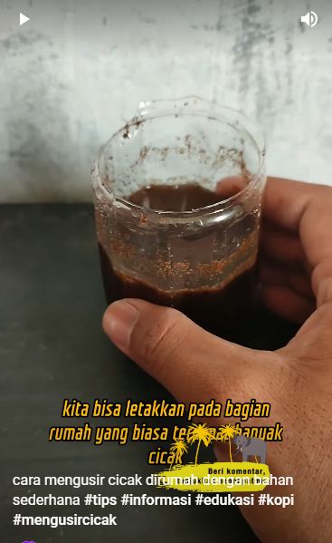 Bukan pakai lada, begini cara bikin perangkap cicak yang alami dan ampuh pakai 3 bahan dapur
