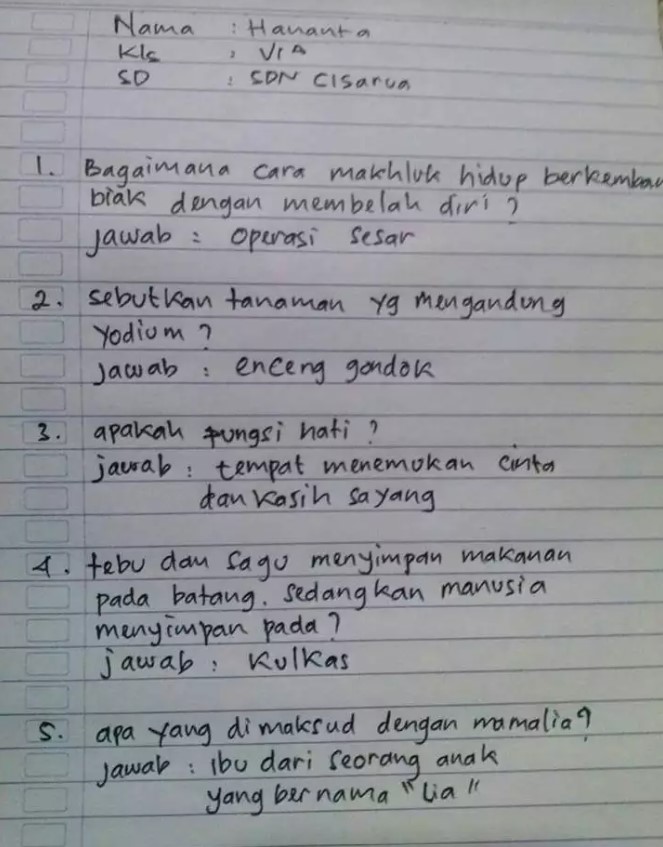 Potret jawaban tugas SD bikin guru dilema Berbagai sumber Potret jawaban tugas SD bikin guru dilema Berbagai sumber