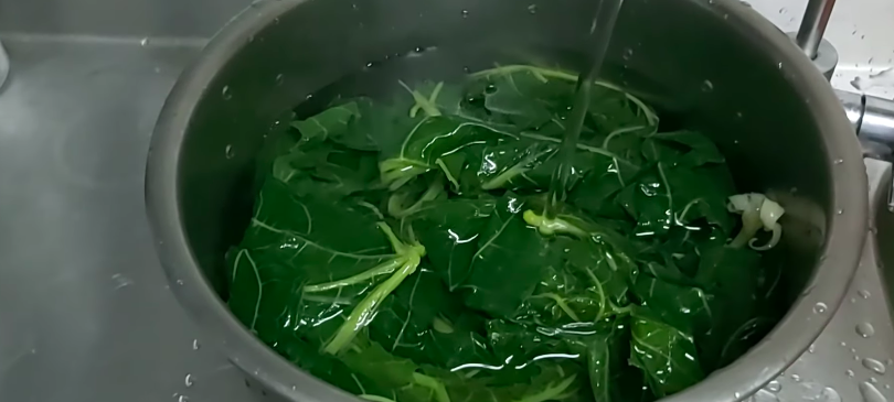 Tanpa asam jawa, ini trik bikin tumis daun pepaya antipahit dan warnanya cantik pakai 1 jenis daun