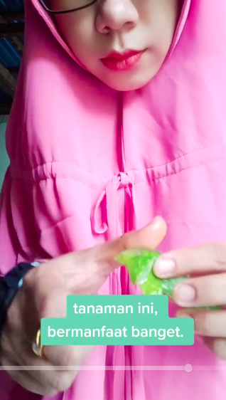 Bikin nggak melepuh, ini cara mengatasi tangan terkena minyak panas cuma pakai 1 jenis tanaman