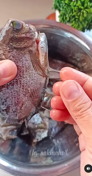 Tak pakai jeruk nipis, ini cara mencuci ikan agar bebas lendir dan antiamis cuma dengan 1 bahan dapur
