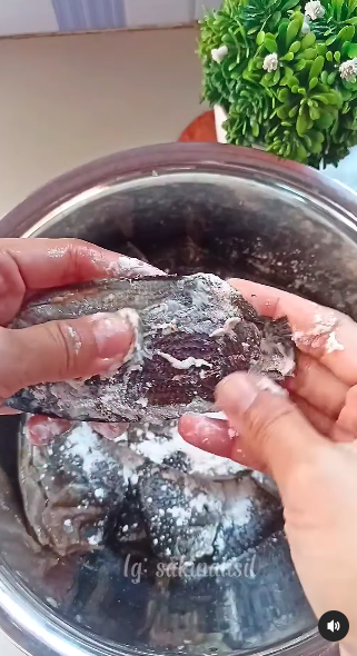 Tak pakai jeruk nipis, ini cara mencuci ikan agar bebas lendir dan antiamis cuma dengan 1 bahan dapur