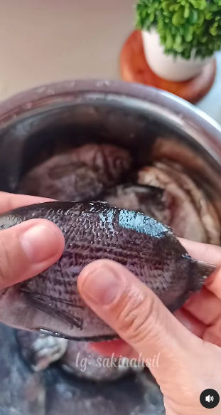 Tak pakai jeruk nipis, ini cara mencuci ikan agar bebas lendir dan antiamis cuma dengan 1 bahan dapur