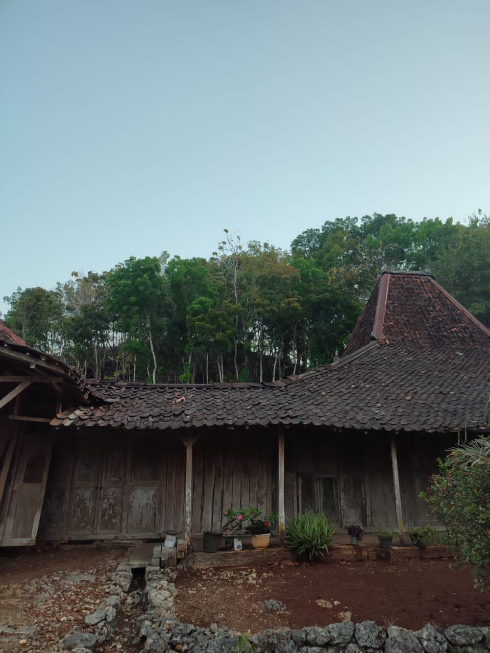 Menilik joglo tertua di Jogja yang berusia 2,5 abad, sempat jadi tempat singgah Jenderal Soedirman
