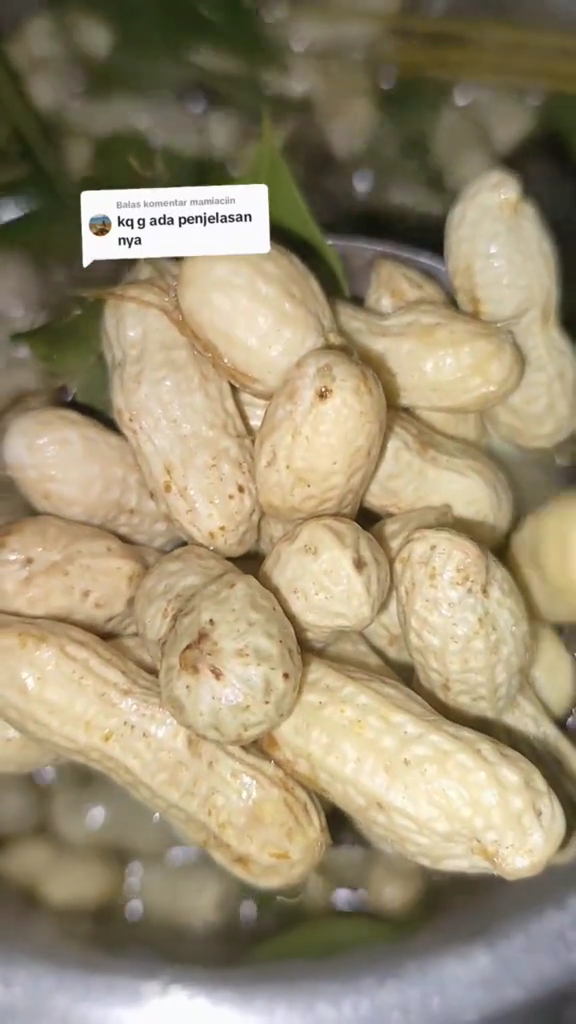 Tanpa dibilas berkali-kali, ini cara merebus kacang tanah agar empuk & kulit bersih pakai 1 jenis daun