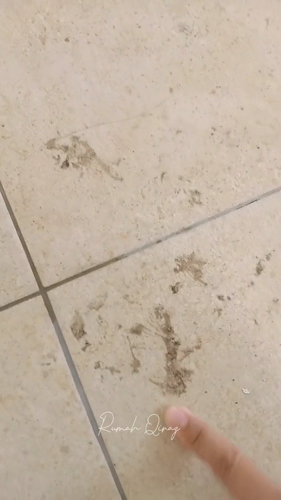 Jangan langsung dipel, ini cara bersihkan noda lem di lantai agar kinclong lagi pakai 1 bahan dapur