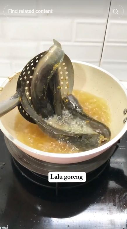 Tak perlu ditaburi tepung, begini trik menggoreng lele supaya tak meletus dan lengket di wajan