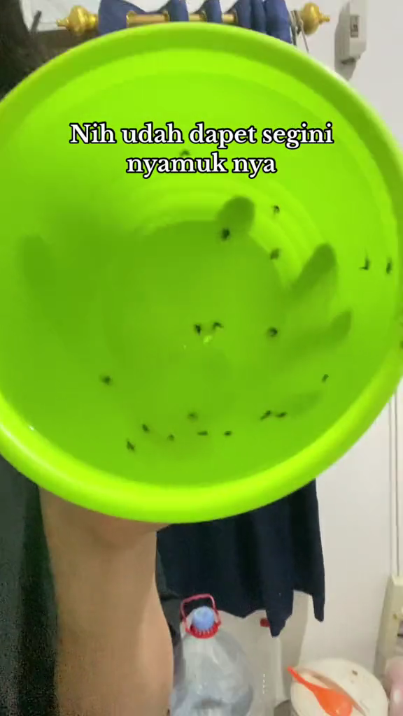 Bukan dengan kopi, aksi pria menangkap nyamuk ini antimainstream dan ampuh cuma pakai 1 alat dapur