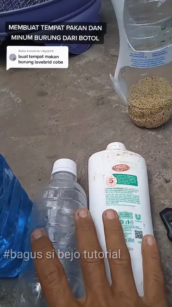 Tak perlu beli baru, ini cara bikin tempat pakan burung agar tak mudah tumpah pakai 1 sampah dapur