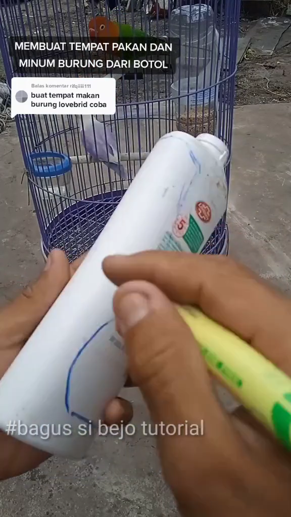 Tak perlu beli baru, ini cara bikin tempat pakan burung agar tak mudah tumpah pakai 1 sampah dapur