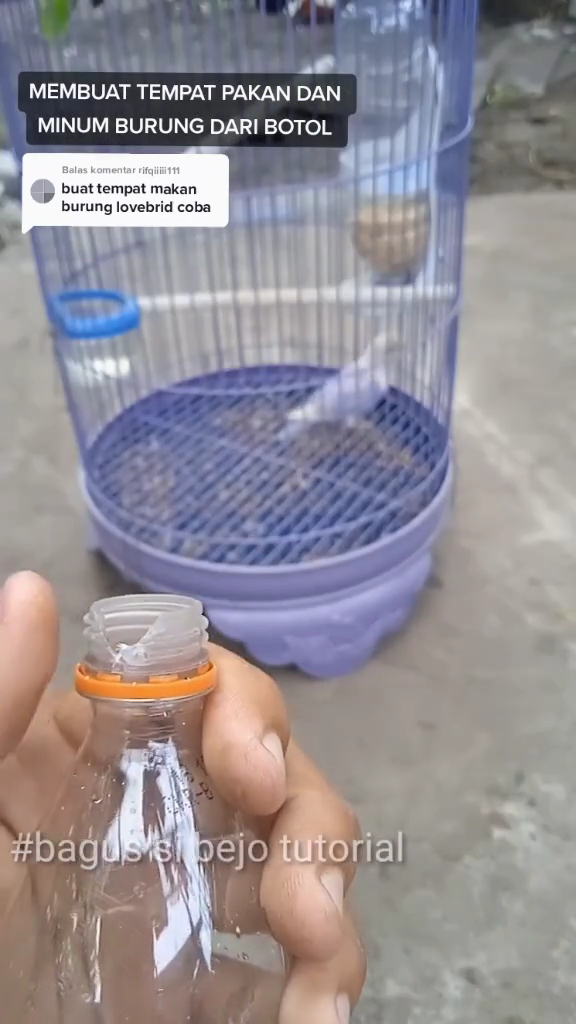 Tak perlu beli baru, ini cara bikin tempat pakan burung agar tak mudah tumpah pakai 1 sampah dapur