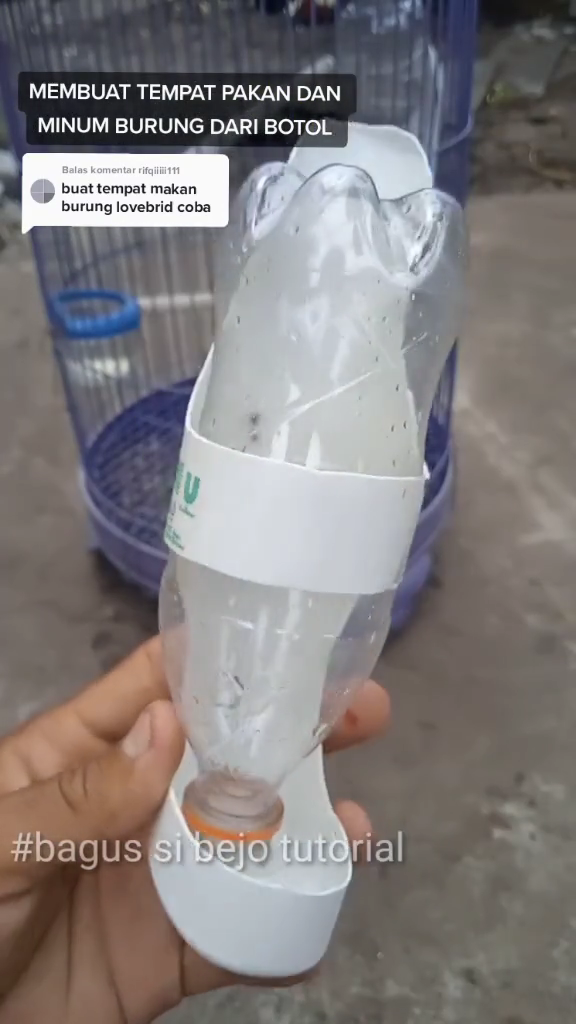 Tak perlu beli baru, ini cara bikin tempat pakan burung agar tak mudah tumpah pakai 1 sampah dapur