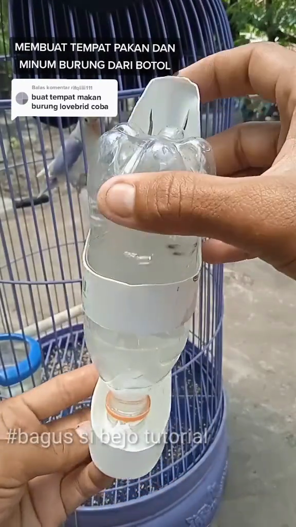 Tak perlu beli baru, ini cara bikin tempat pakan burung agar tak mudah tumpah pakai 1 sampah dapur