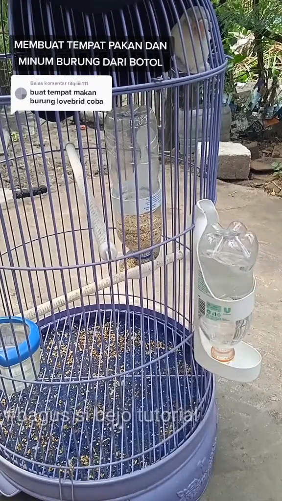 Tak perlu beli baru, ini cara bikin tempat pakan burung agar tak mudah tumpah pakai 1 sampah dapur