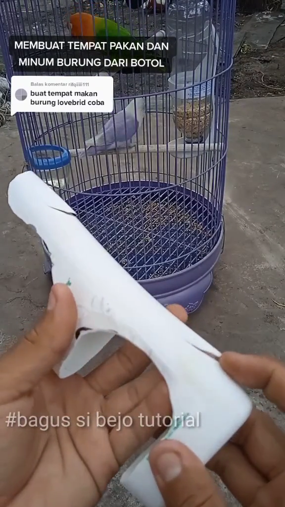 Tak perlu beli baru, ini cara bikin tempat pakan burung agar tak mudah tumpah pakai 1 sampah dapur