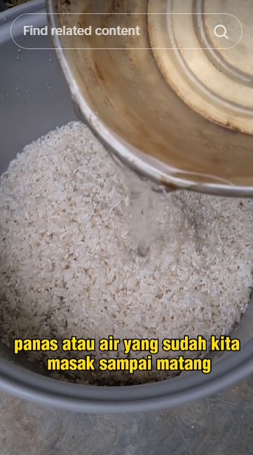 Jangan cuma minyak kelapa, ini trik menanak nasi biar tak lengket & rendah gula ditambah 2 bahan dapur