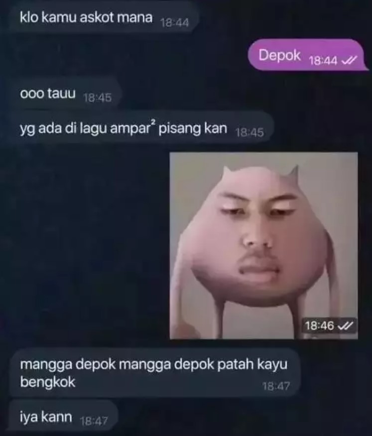 Chat lucu kenalan bikin pengin diam seharian  Berbagai sumber