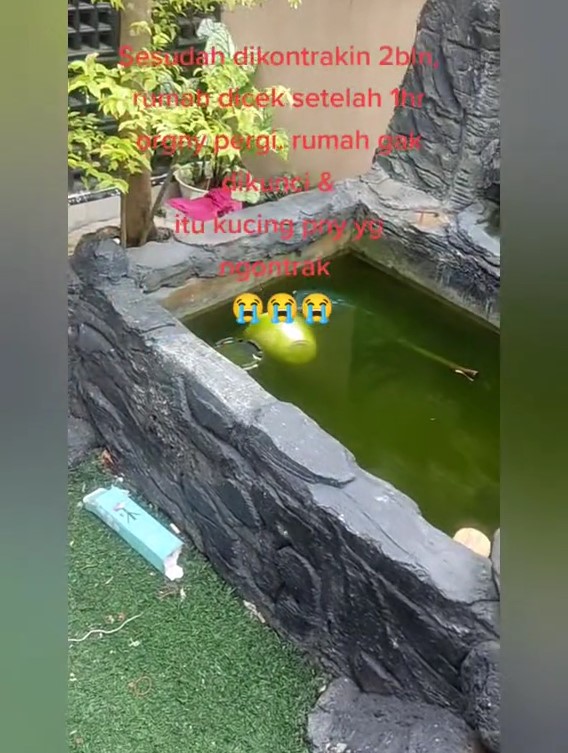 rumah baru 2 bulan disewa jadi kumuh © TikTok