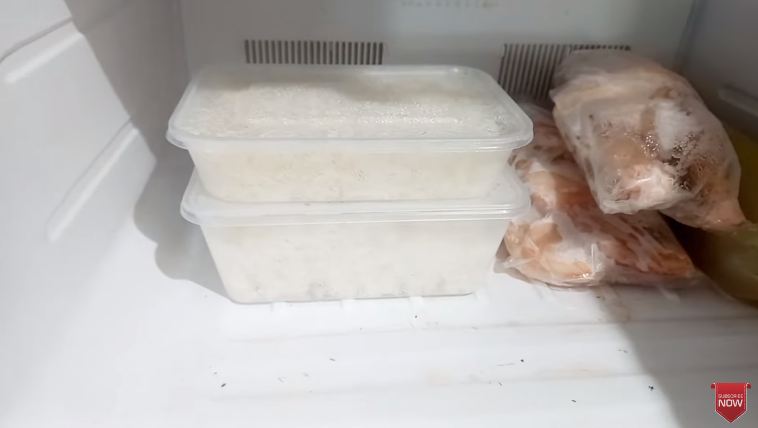 Tanpa es batu, ini trik memanaskan nasi beku dari freezer agar pulen kembali cuma tambah 1 bahan dapur