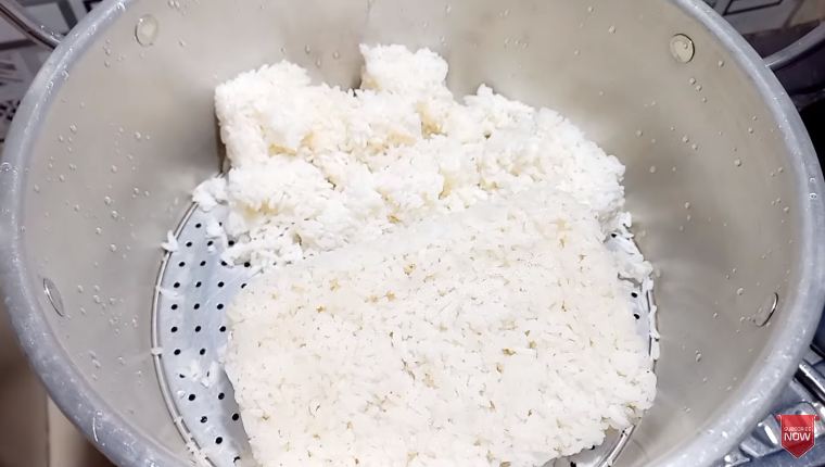 Tanpa es batu, ini trik memanaskan nasi beku dari freezer agar pulen kembali cuma tambah 1 bahan dapur
