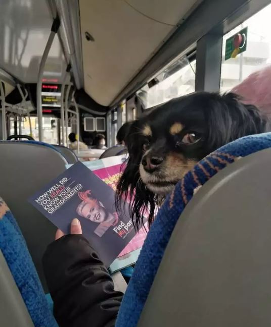 momen pas wajah manusia © berbagai sumber momen pas wajah manusia © berbagai sumber