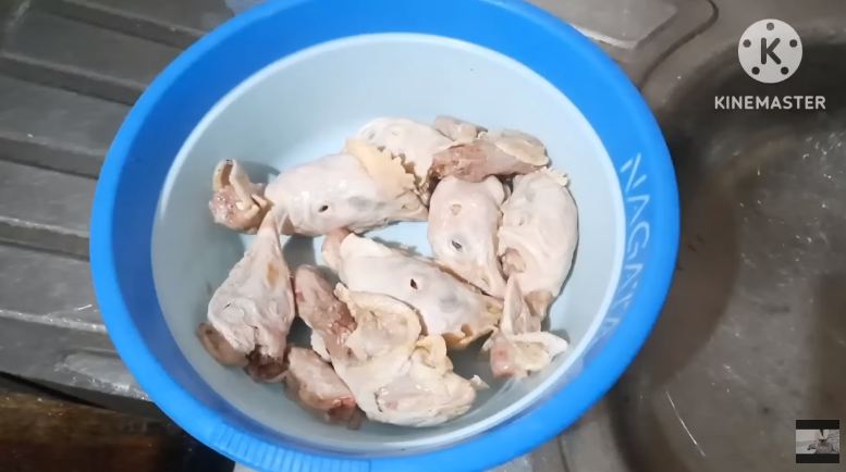 Modal Rp10.000, ini cara bikin makanan kucing agar cepat gemuk dan bulu tebal pakai 1 bahan masakan