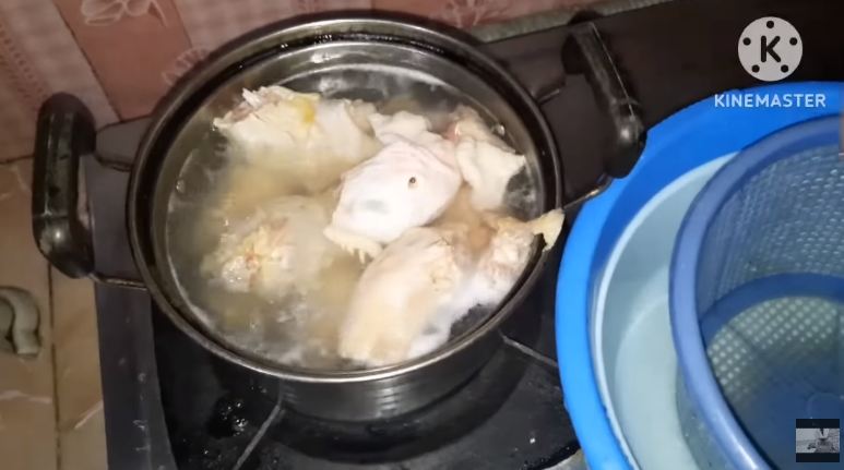 Modal Rp10.000, ini cara bikin makanan kucing agar cepat gemuk dan bulu tebal pakai 1 bahan masakan