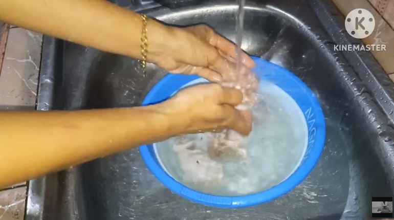 Modal Rp10.000, ini cara bikin makanan kucing agar cepat gemuk dan bulu tebal pakai 1 bahan masakan