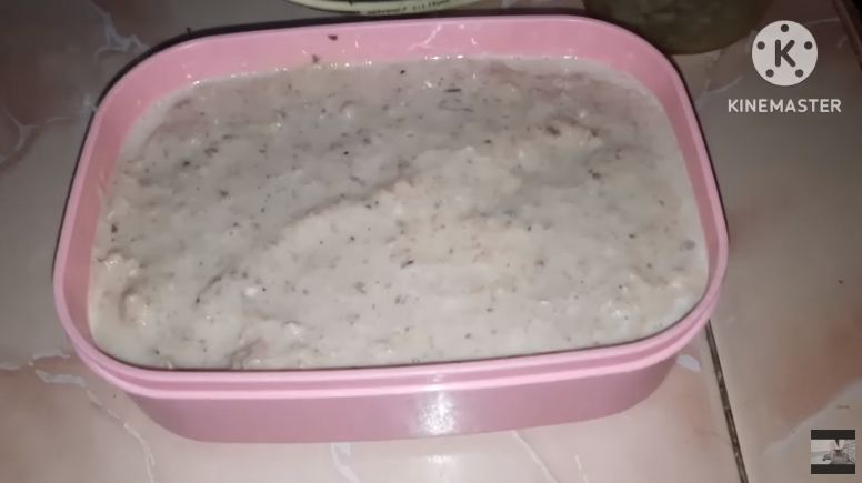 Modal Rp10.000, ini cara bikin makanan kucing agar cepat gemuk dan bulu tebal pakai 1 bahan masakan