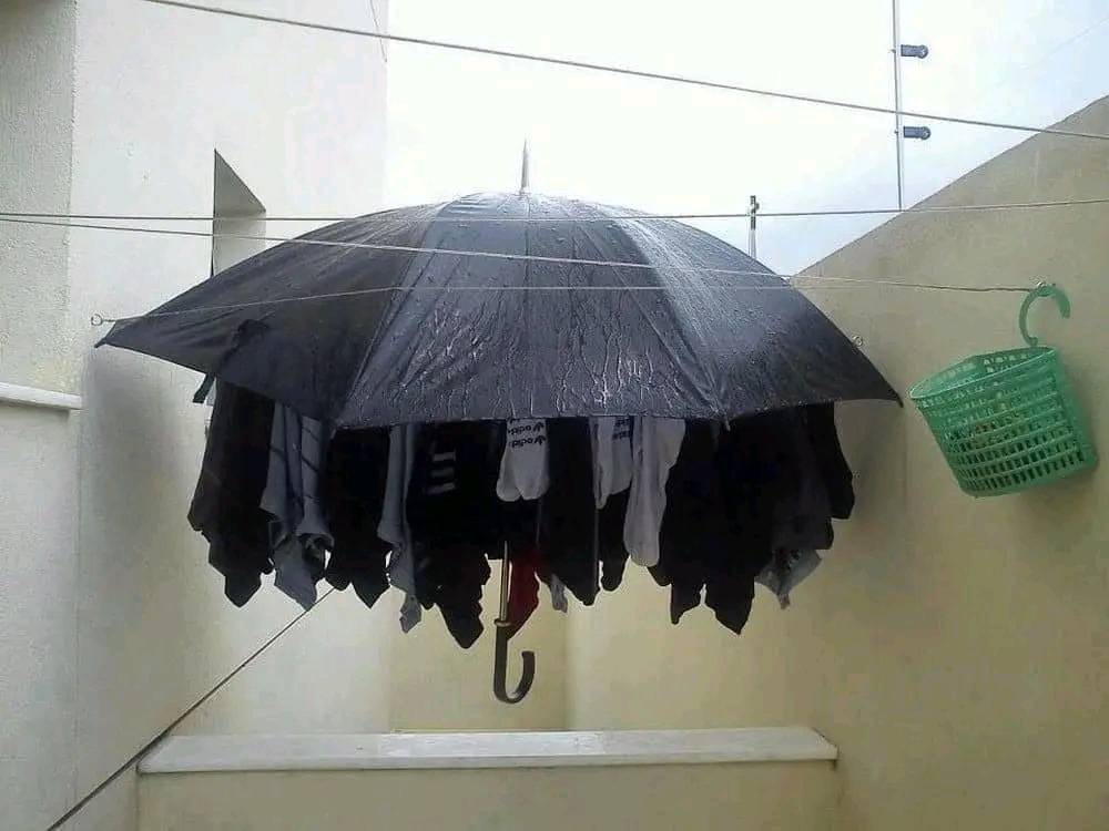 manusia cerdas © berbagai sumber