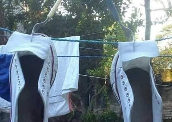 manusia cerdas © berbagai sumber