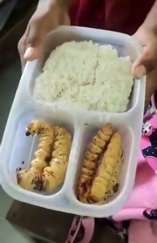 Momen siswa bawa bekal nasi dengan lauk nggak biasa Twitter