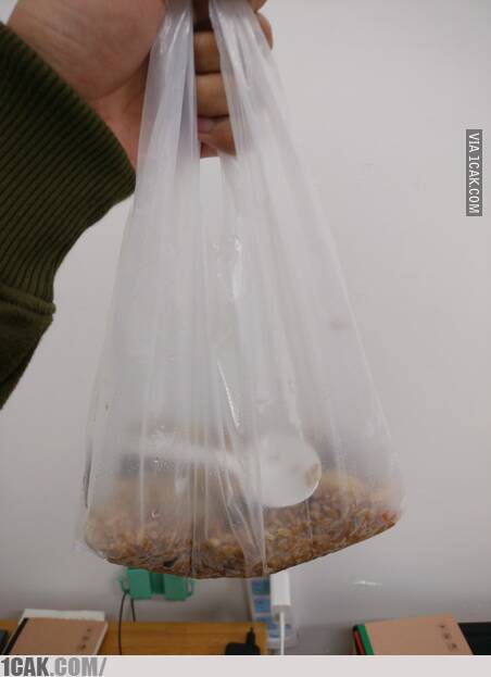 makanan dibungkus © berbagai sumber