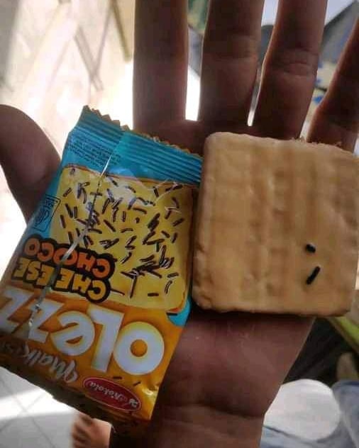 Potret lucu makanan pelit Berbagai sumber