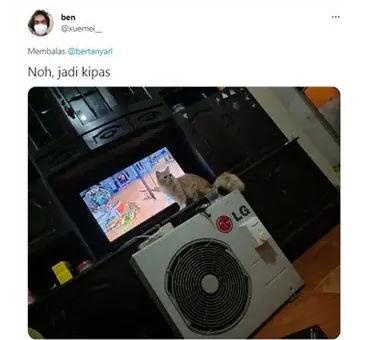 Potret kocak alih fungsi barang ini penampakannya Berbagai sumber Potret kocak alih fungsi barang ini penampakannya Berbagai sumber