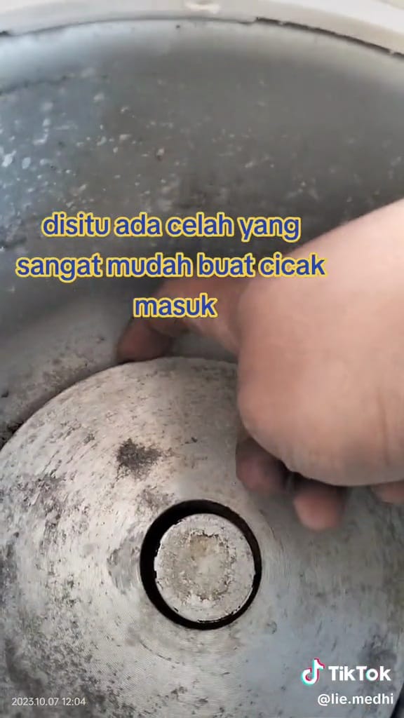 Cicak di dalam magicom © TikTok