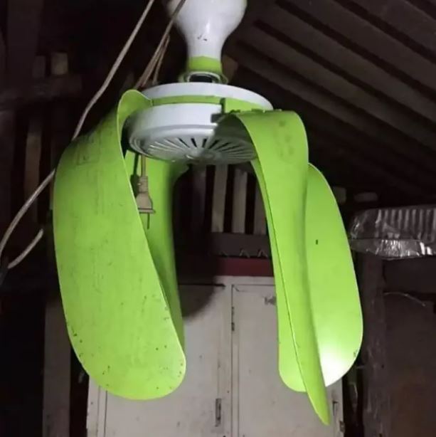 potret kocak orang pasang kipas Berbagai sumber