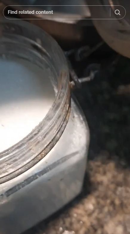 Tak perlu ditambah rempah, ini trik ampuh mengusir semut di toples gula