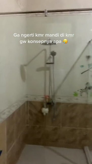 toilet aneh © TikTok