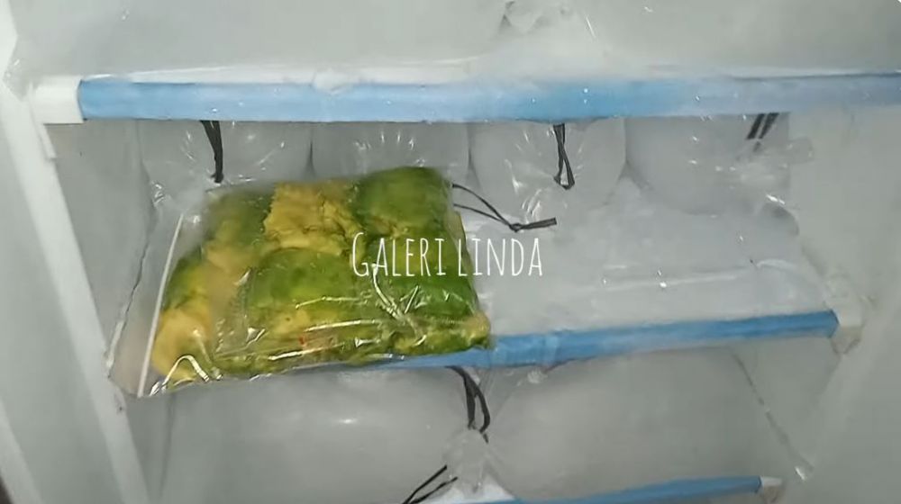 Tanpa dikucuri jeruk, ini cara mudah menyimpan alpukat matang agar awet dan tak busuk sampai 6 bulan