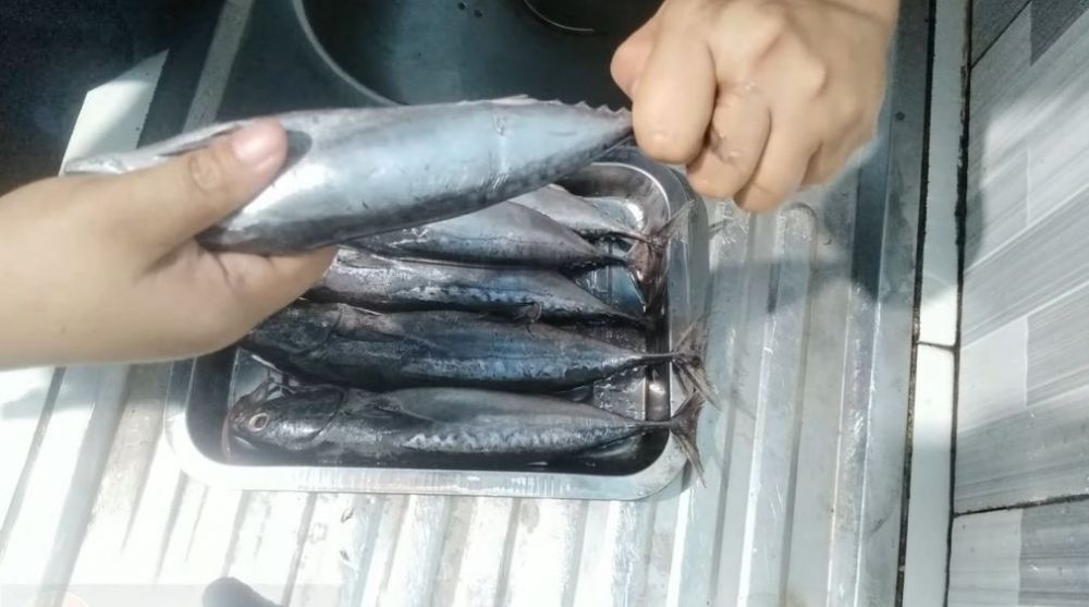 Tak perlu arang, begini cara mudah menghilangkan racun pada ikan tongkol agar lebih aman dikonsumsi