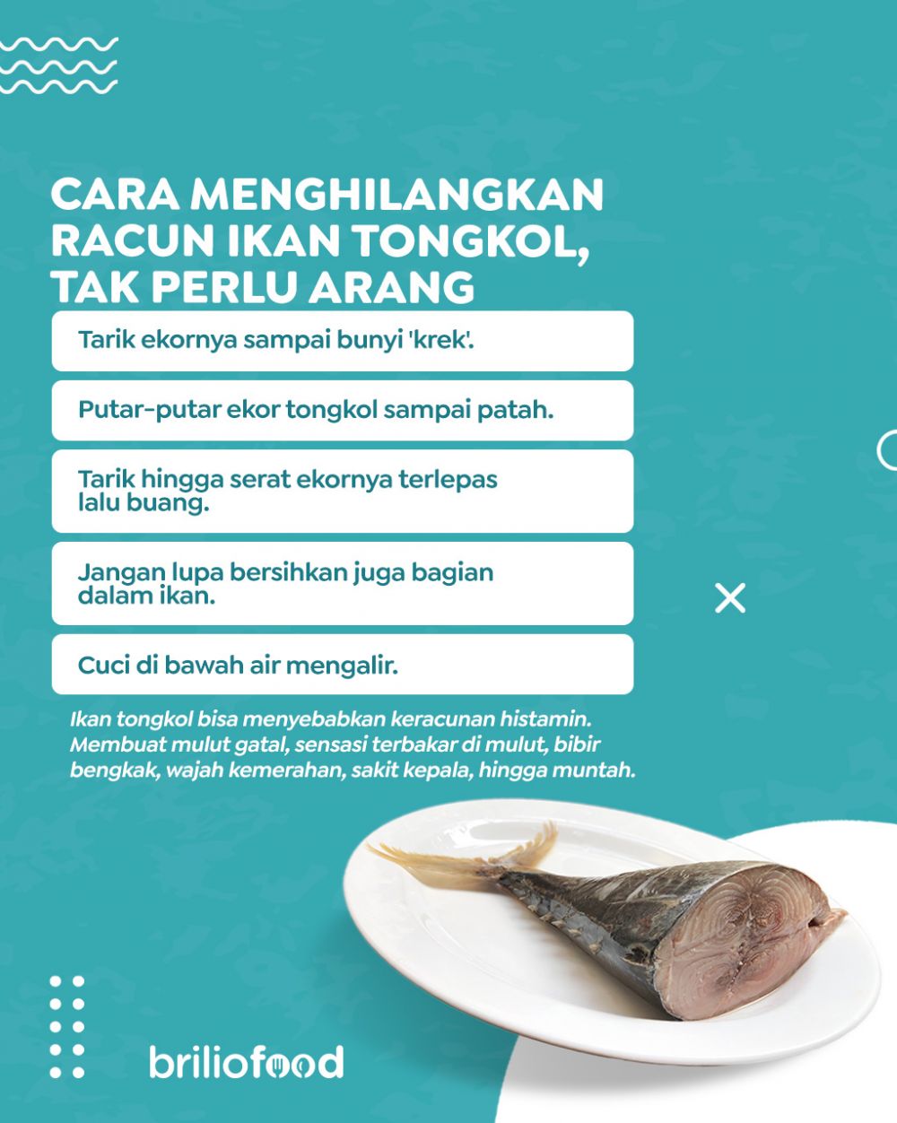 Tak perlu arang, begini cara mudah menghilangkan racun pada ikan tongkol agar lebih aman dikonsumsi