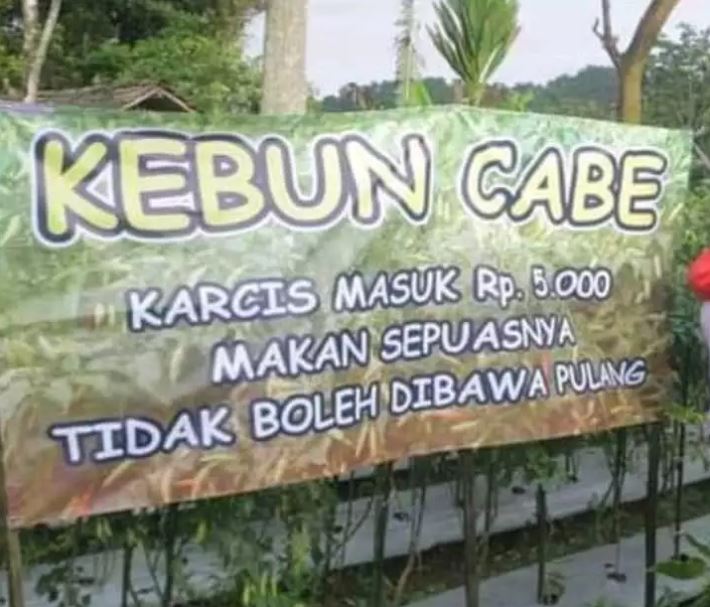 tulisan promo endingnya bikin kecewa Berbagai sumber tulisan promo endingnya bikin kecewa Berbagai sumber