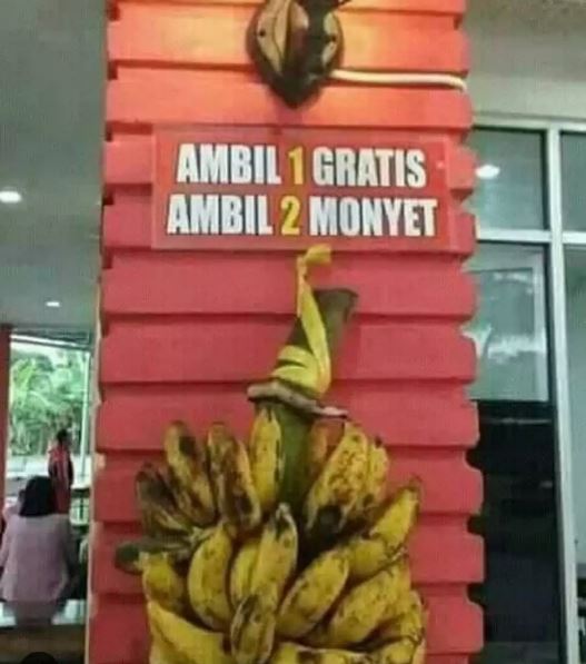 tulisan promo endingnya bikin kecewa Berbagai sumber tulisan promo endingnya bikin kecewa Berbagai sumber