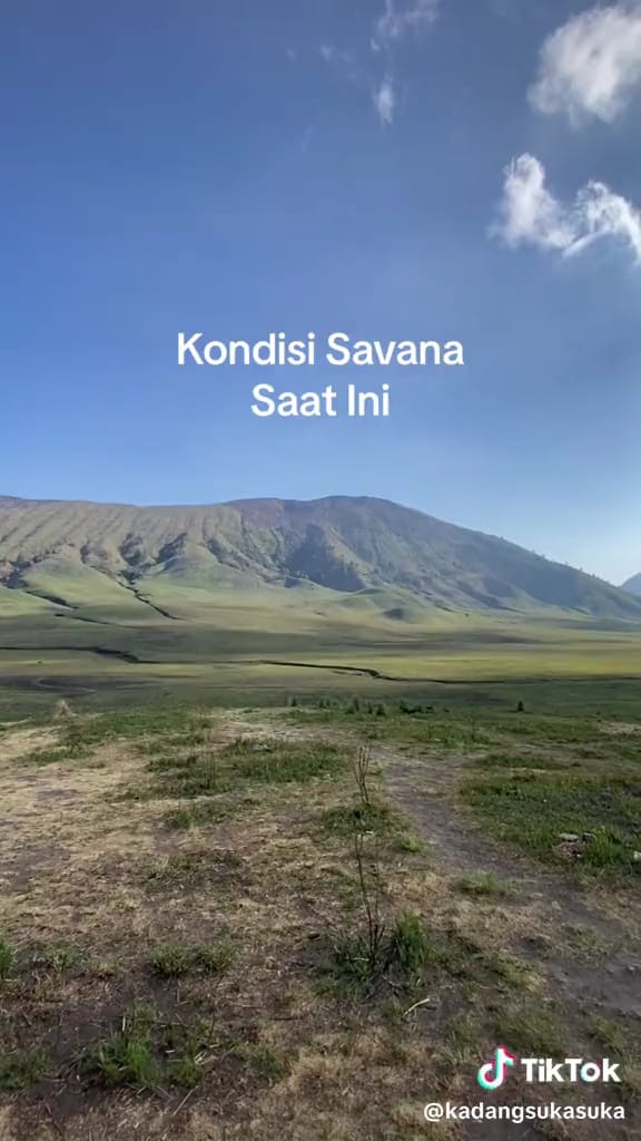Potret bromo mulai menghijau © TikTok Potret bromo mulai menghijau © TikTok