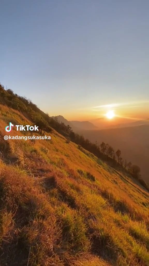 Potret bromo mulai menghijau  © TikTok