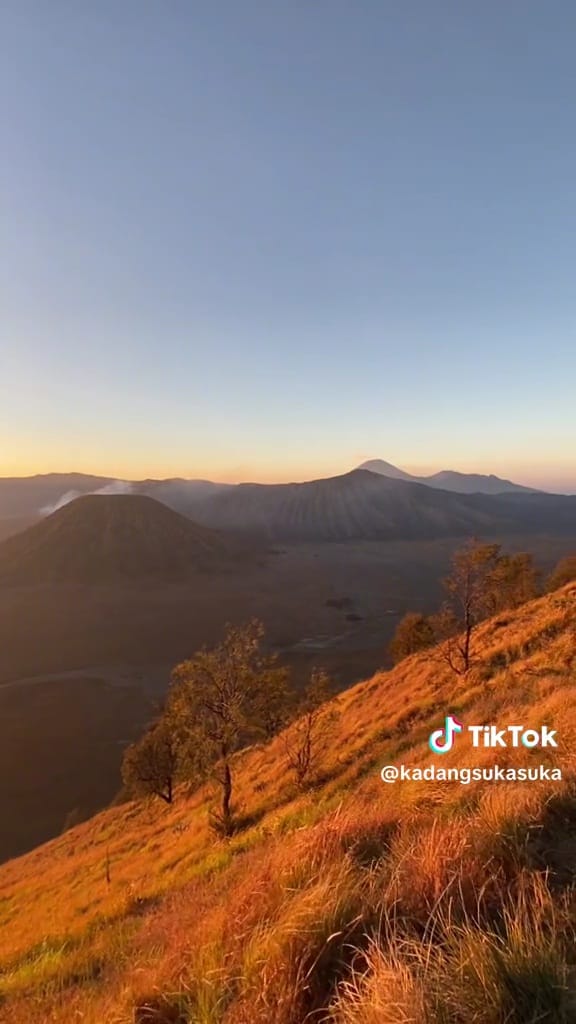 Potret bromo mulai menghijau  © TikTok